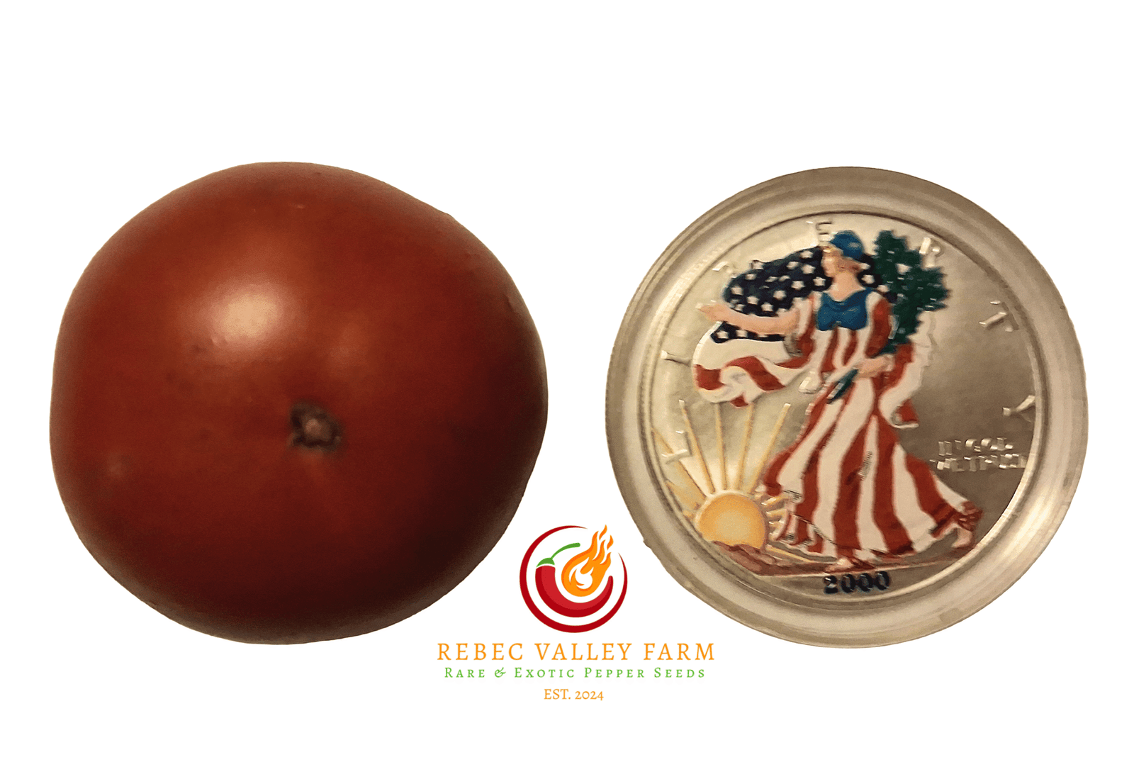 Dwarf Pit Viper Tomato - Image 2