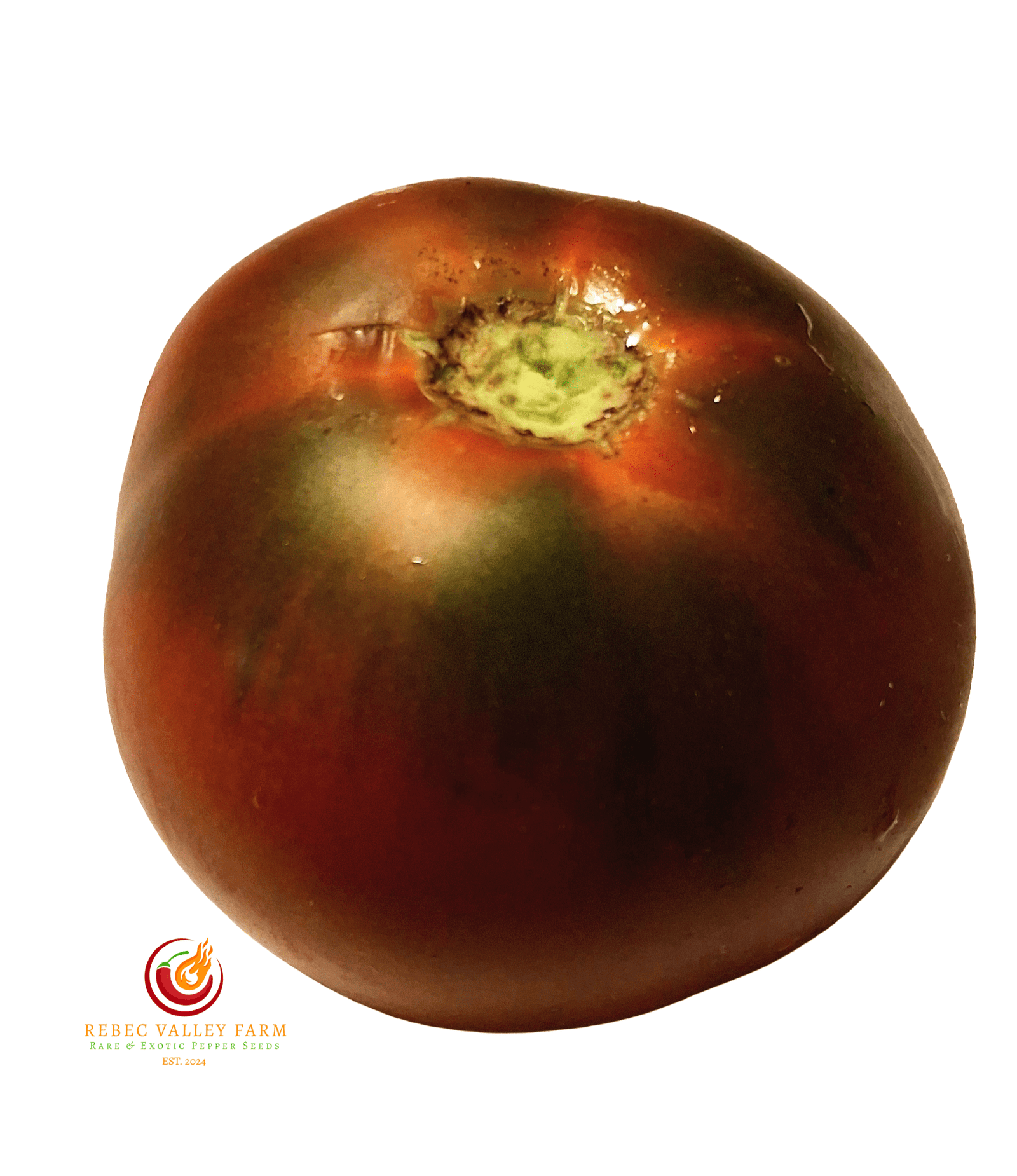 Dwarf Pit Viper Tomato - Image 3