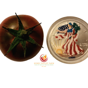 Dwarf Pit Viper Tomato