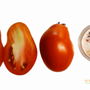 Dwarf Sneaky Sauce Tomato