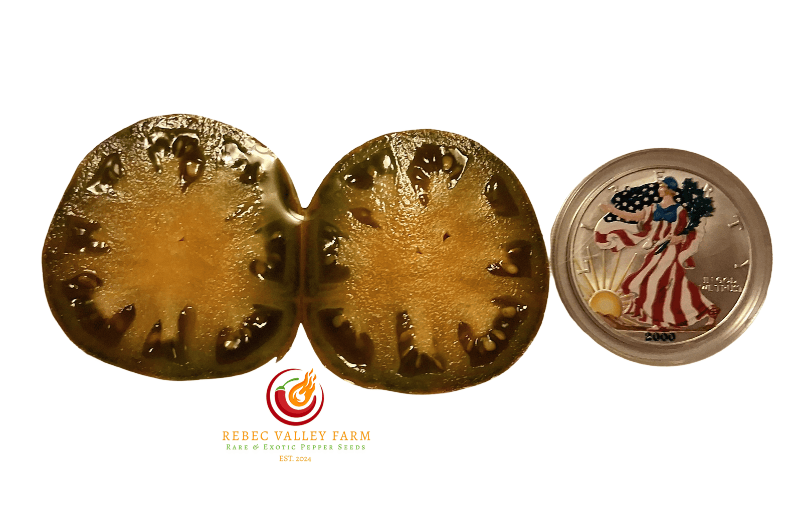 Dwarf Uluru Ochre Tomato - Image 2