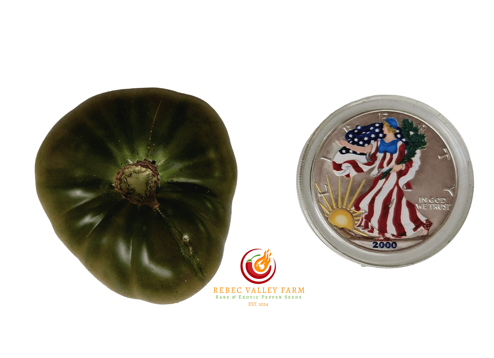 Dwarf Uluru Ochre Tomato - Image 3