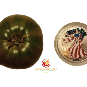 Dwarf Uluru Ochre Tomato