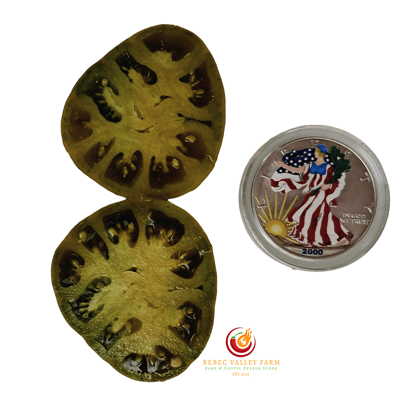 Dwarf Uluru Ochre Tomato - Image 4