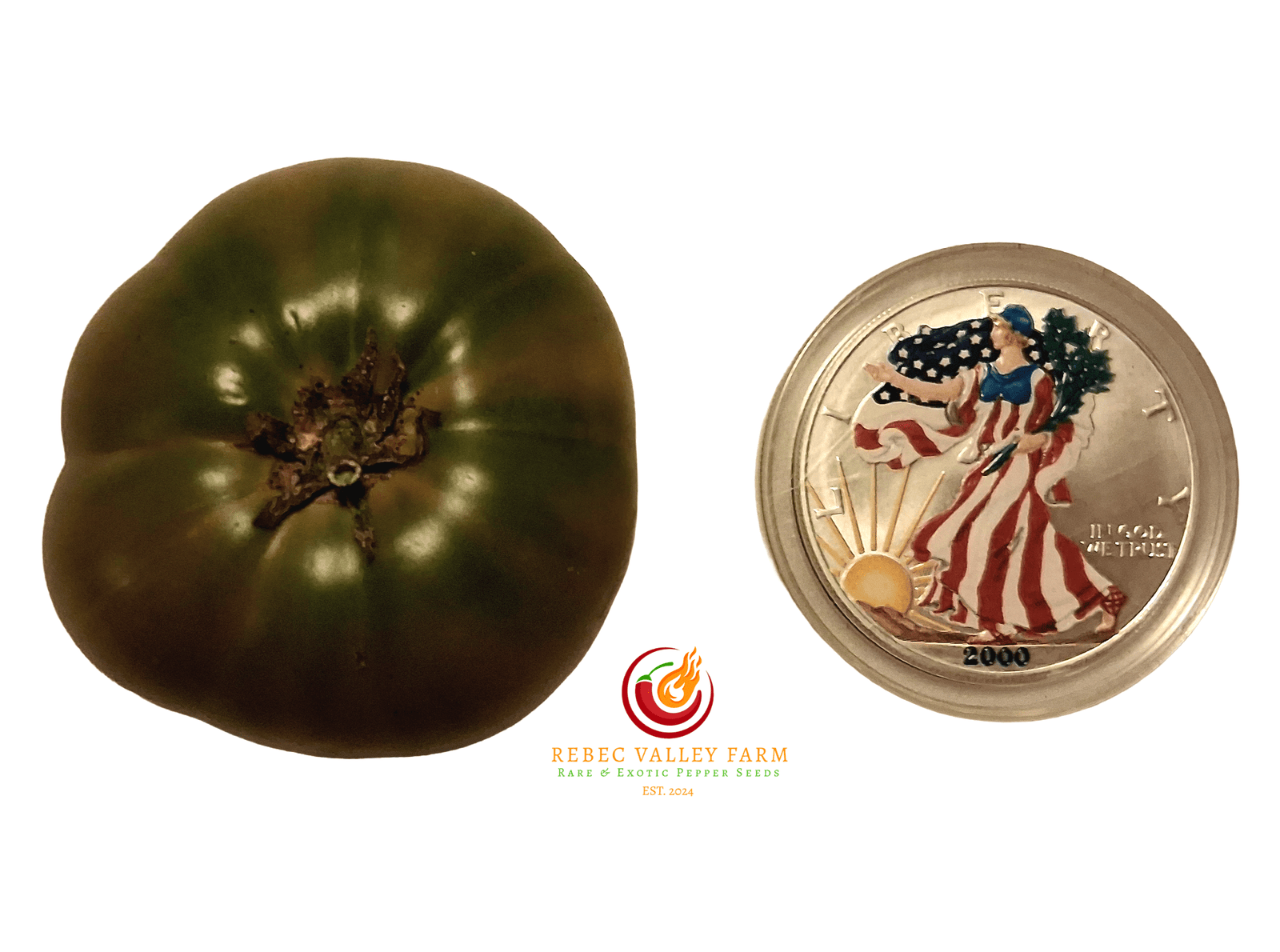 Dwarf Uluru Ochre Tomato