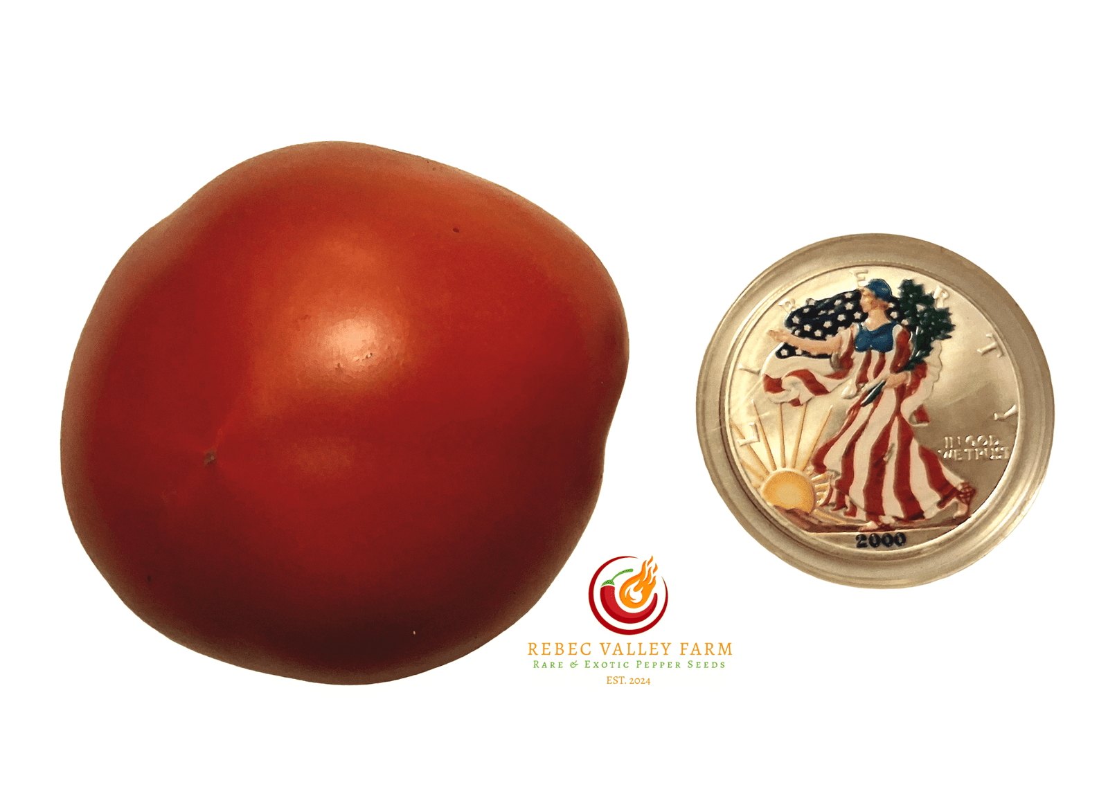 Early Girl Tomato - Image 2