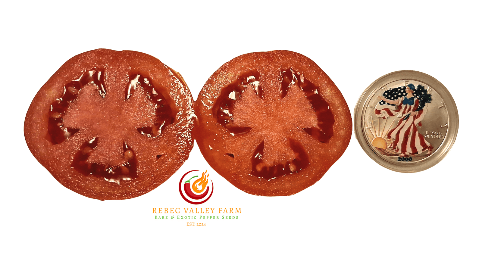 Early Girl Tomato - Image 3