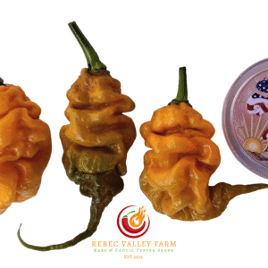 Golden Tiberius Mauler Pepper