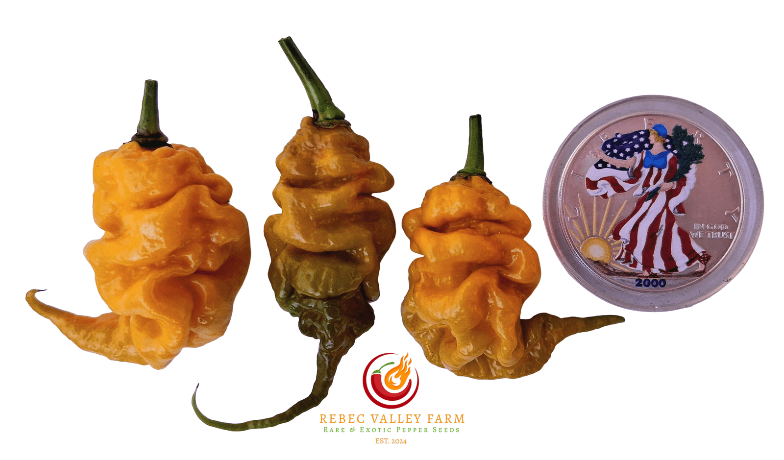 Golden Tiberius Mauler Pepper