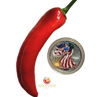 Hangjiao 1 Corona Pepper