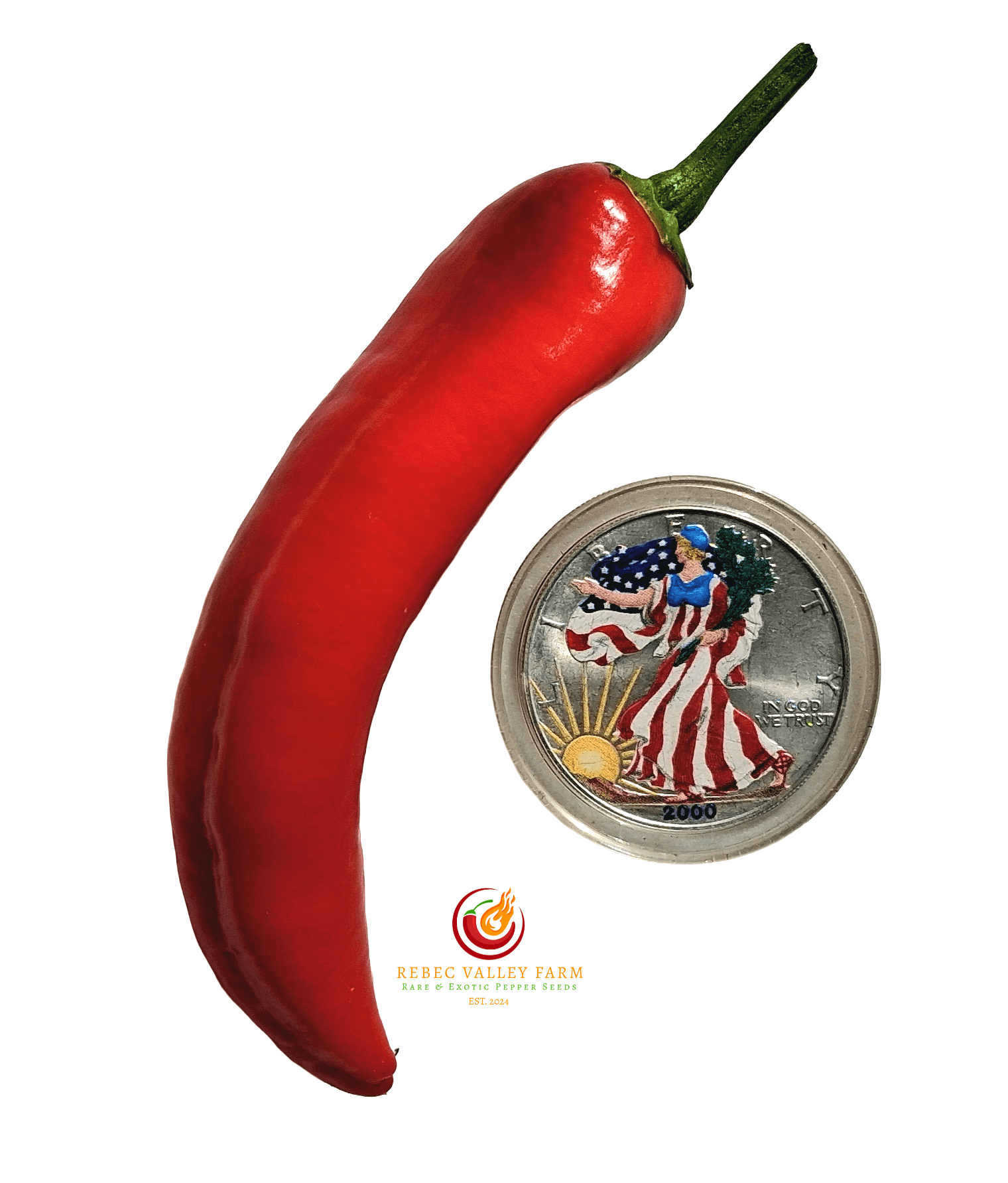 Hangjiao 1 Corona Pepper