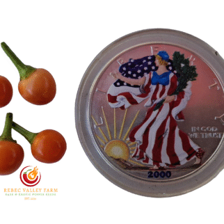 Hot Pops Purple Pepper