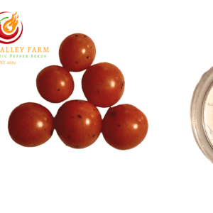 Hundreds and Thousands Tomato