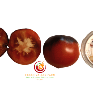 Jolie Coeur H-34 Tomato