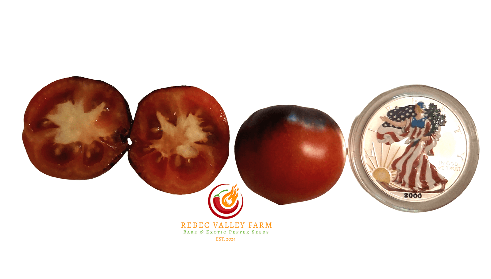 Jolie Coeur H-34 Tomato