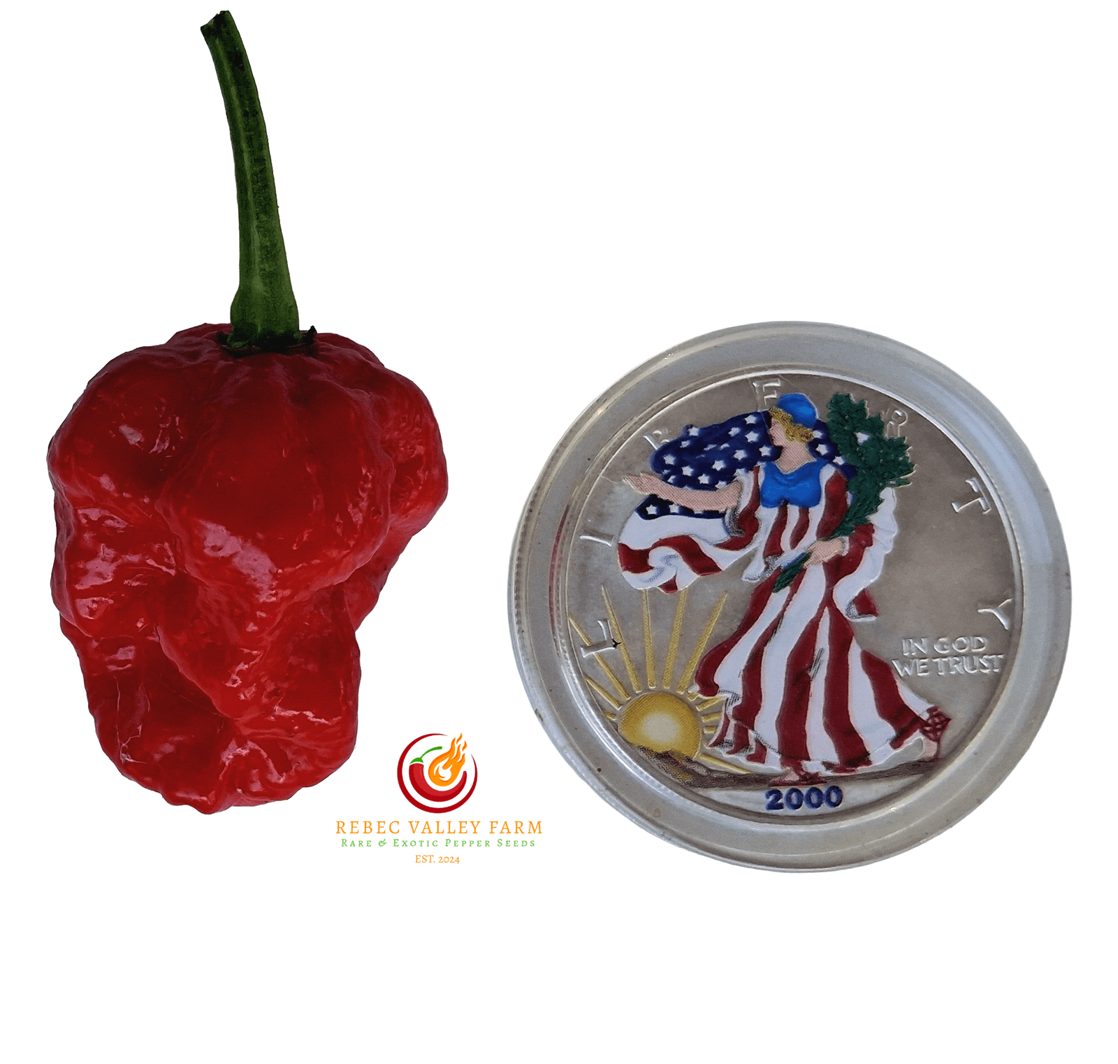 KS Crimson Starr Pepper