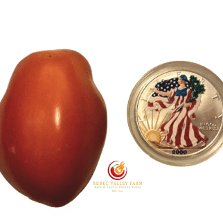 Maida's Kootenai Giant Tomato