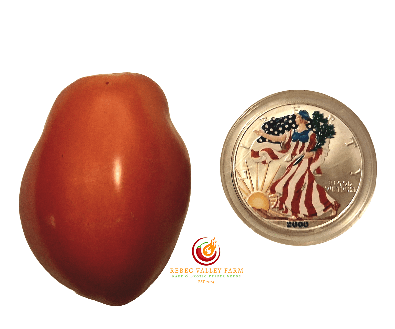 Maida's Kootenai Giant Tomato