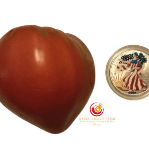 Malcolm Lincoln Tomato