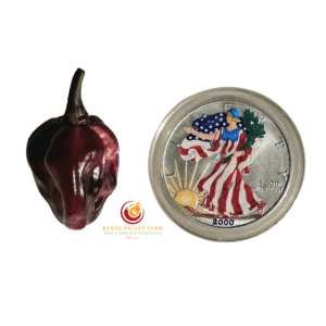 BBG MAMP Berrygum Pepper