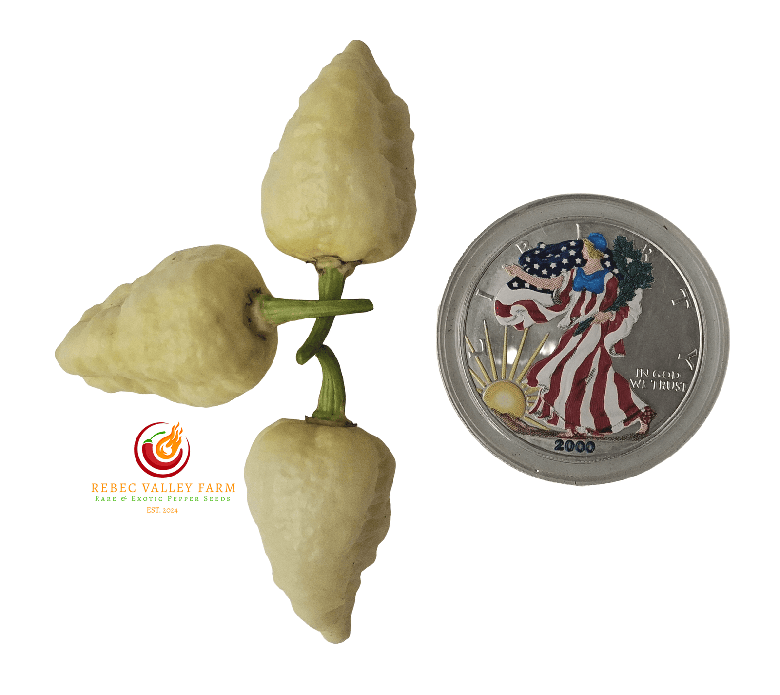 Mini White Ghost Jami Pepper