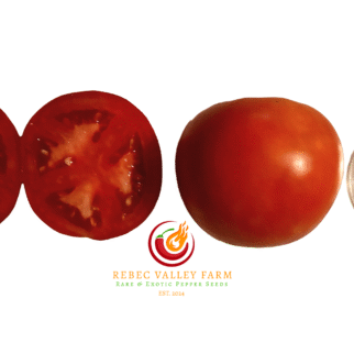 Mountain Princess Tomato