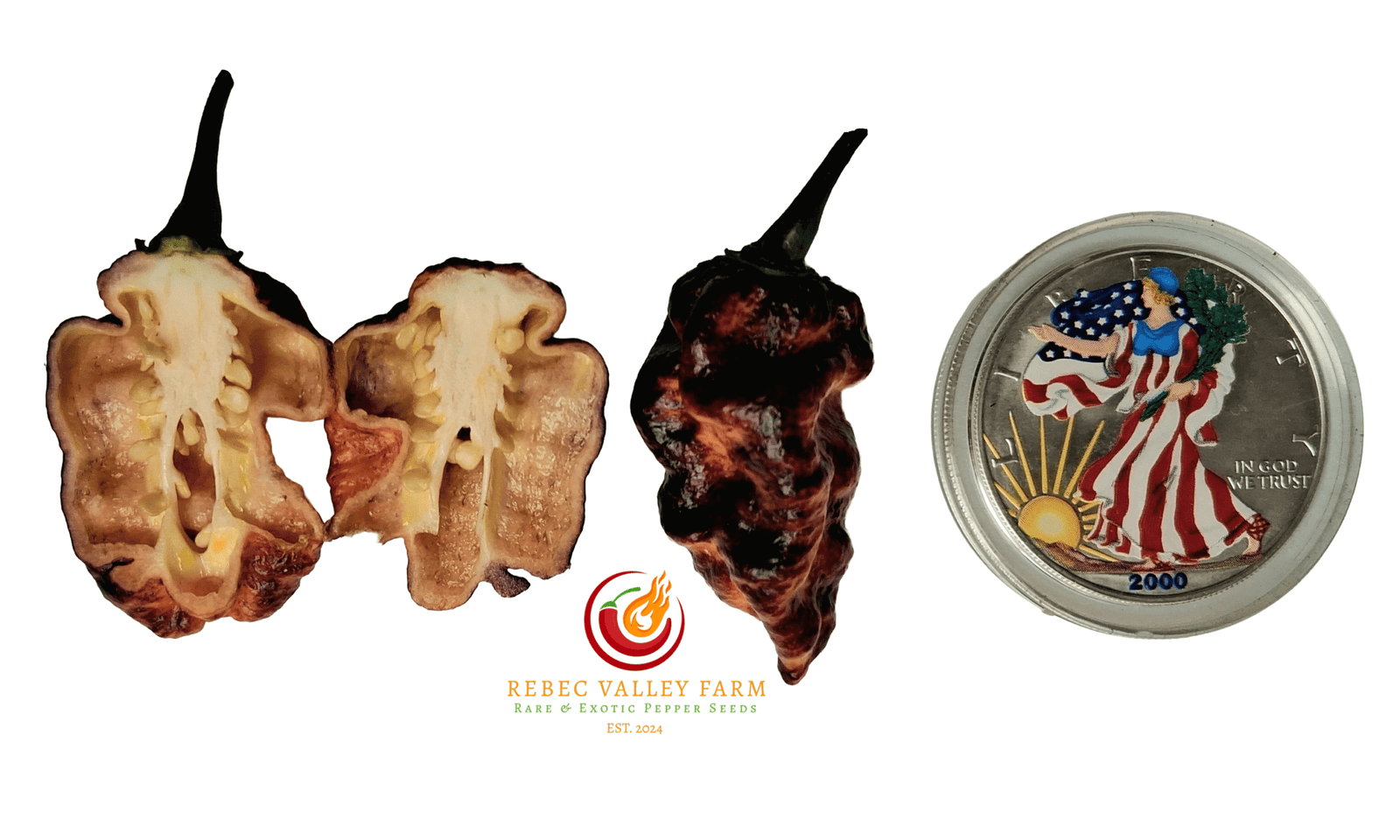 Naga Tiger DD x CBPC Peach F4 Pepper - Image 2