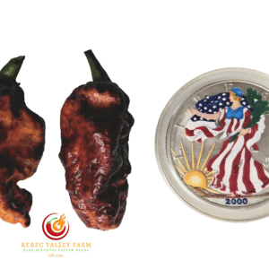 Naga Tiger DD x CBPC Peach F4 Pepper