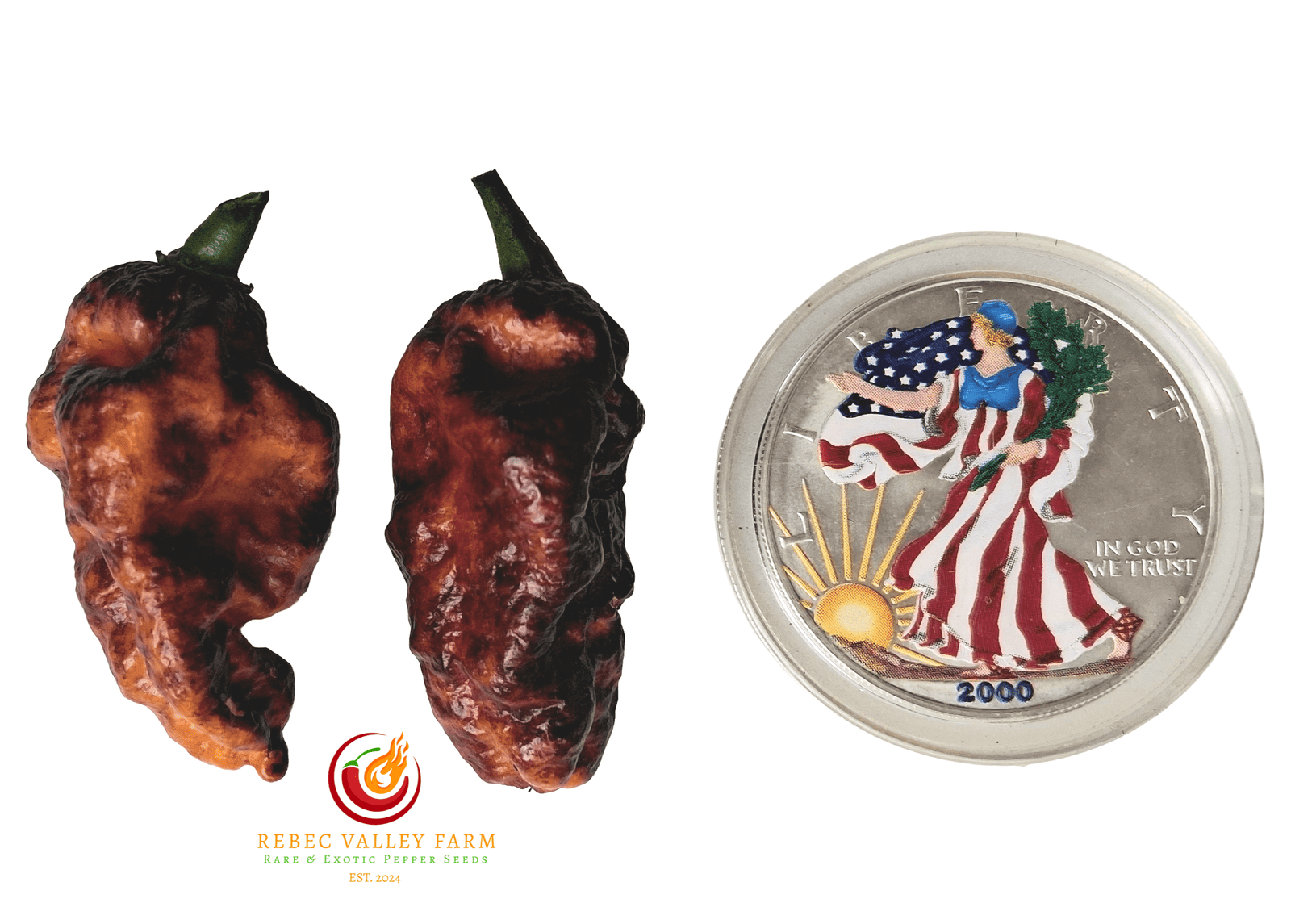 Naga Tiger DD x CBPC Peach F4 Pepper