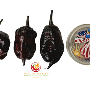 Naga Tiger DD x Unknown F4 Pepper