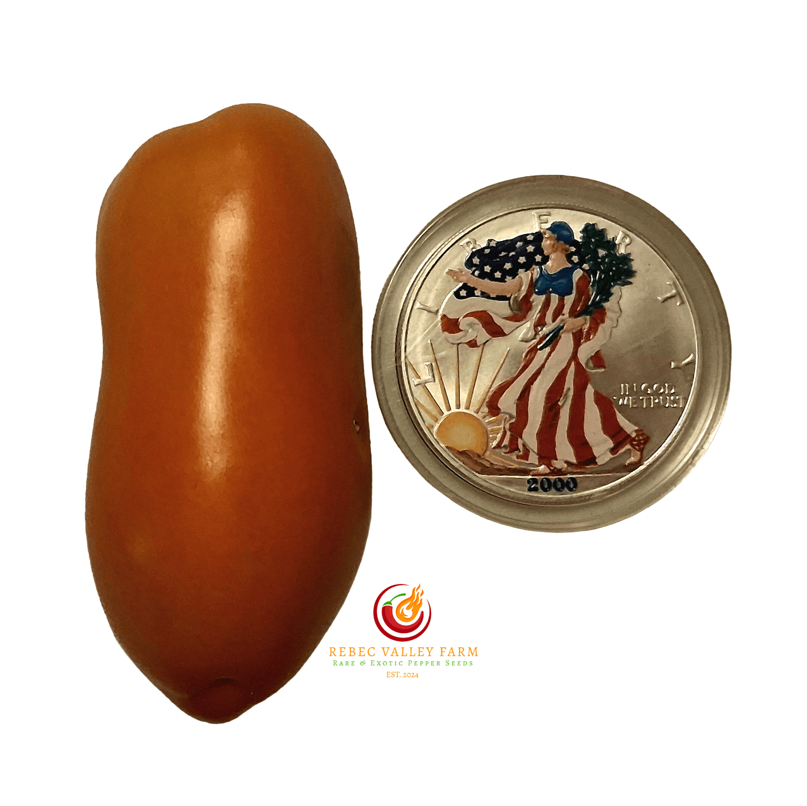 Pompeii Paste Tomato - Image 2