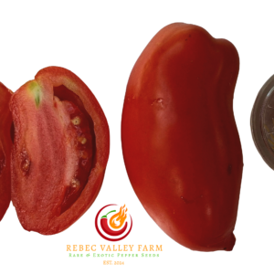 Pompeii Paste Tomato