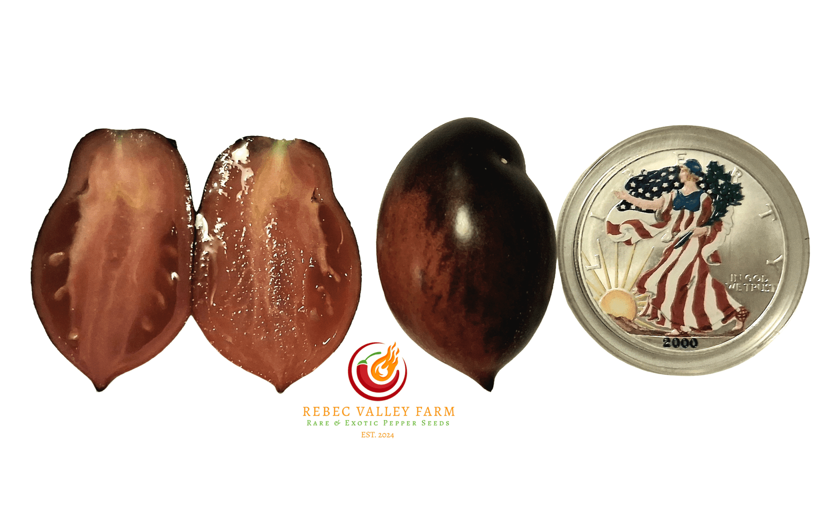 Princess of Gothic Tomato - Image 3