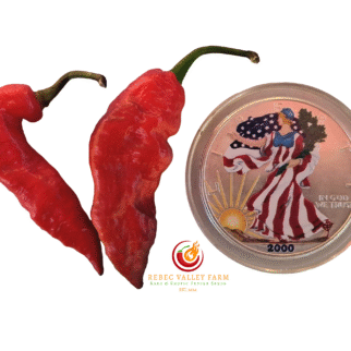 Purple (Bhut Jolokia) Ghost Pepper
