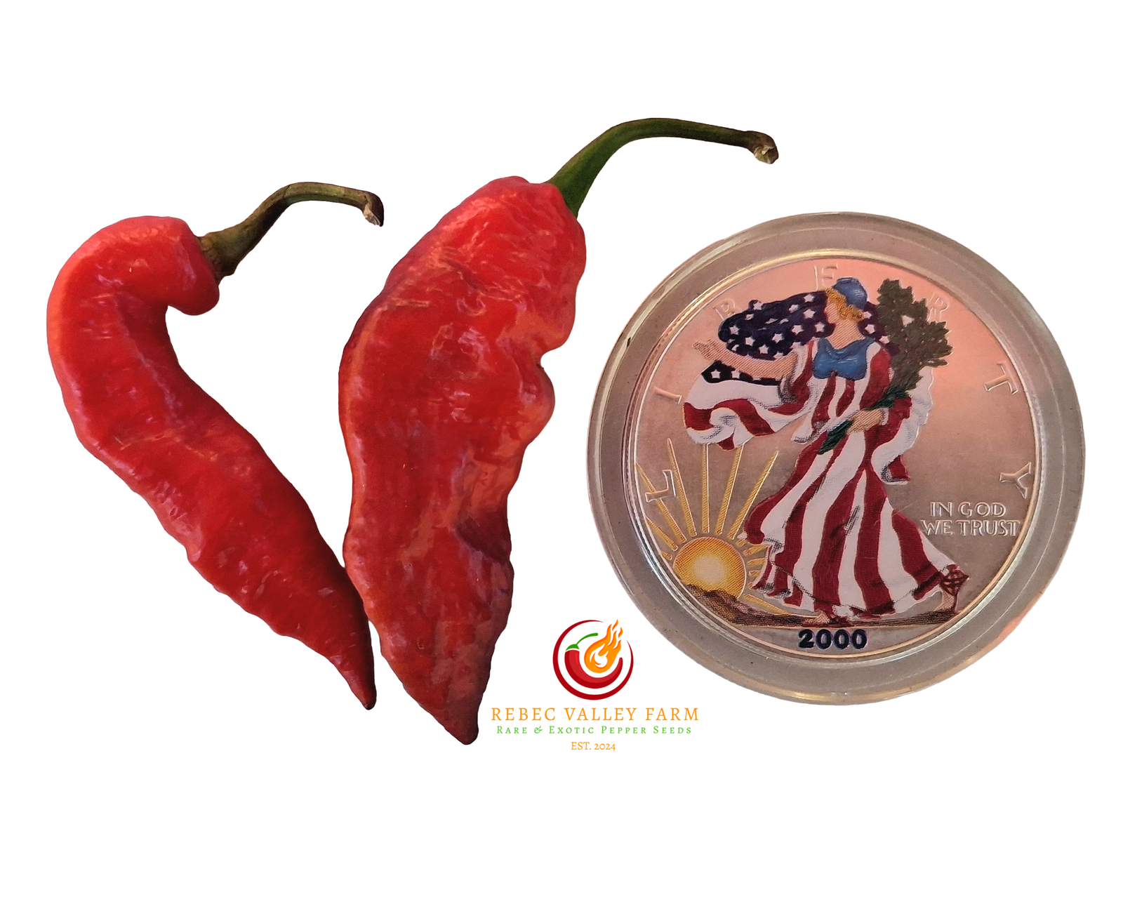 Purple (Bhut Jolokia) Ghost Pepper