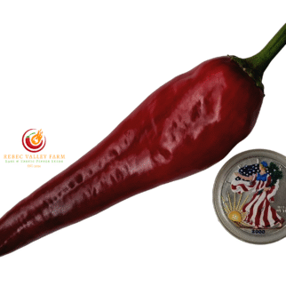 Purple Marconi Pepper