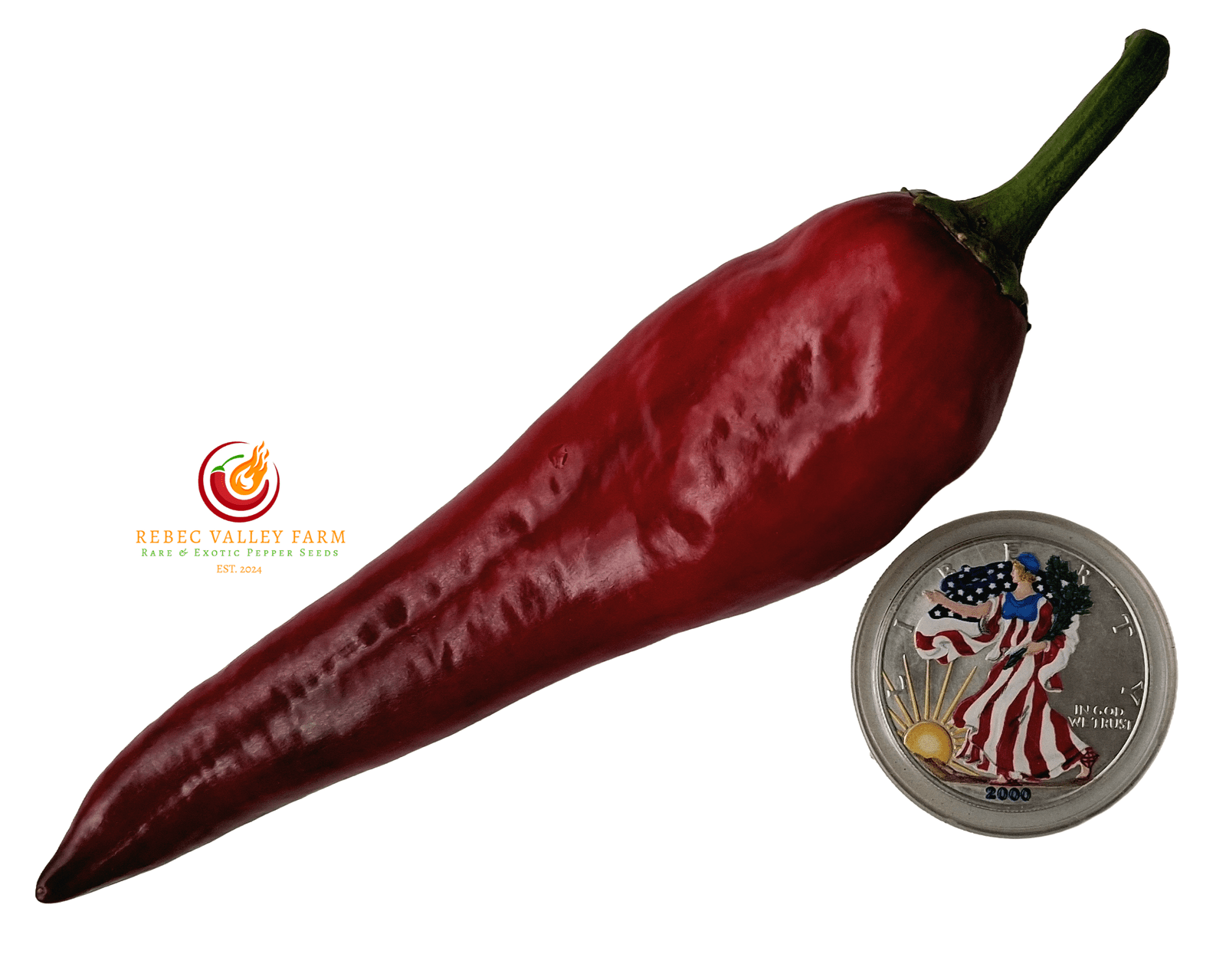 Purple Marconi Pepper