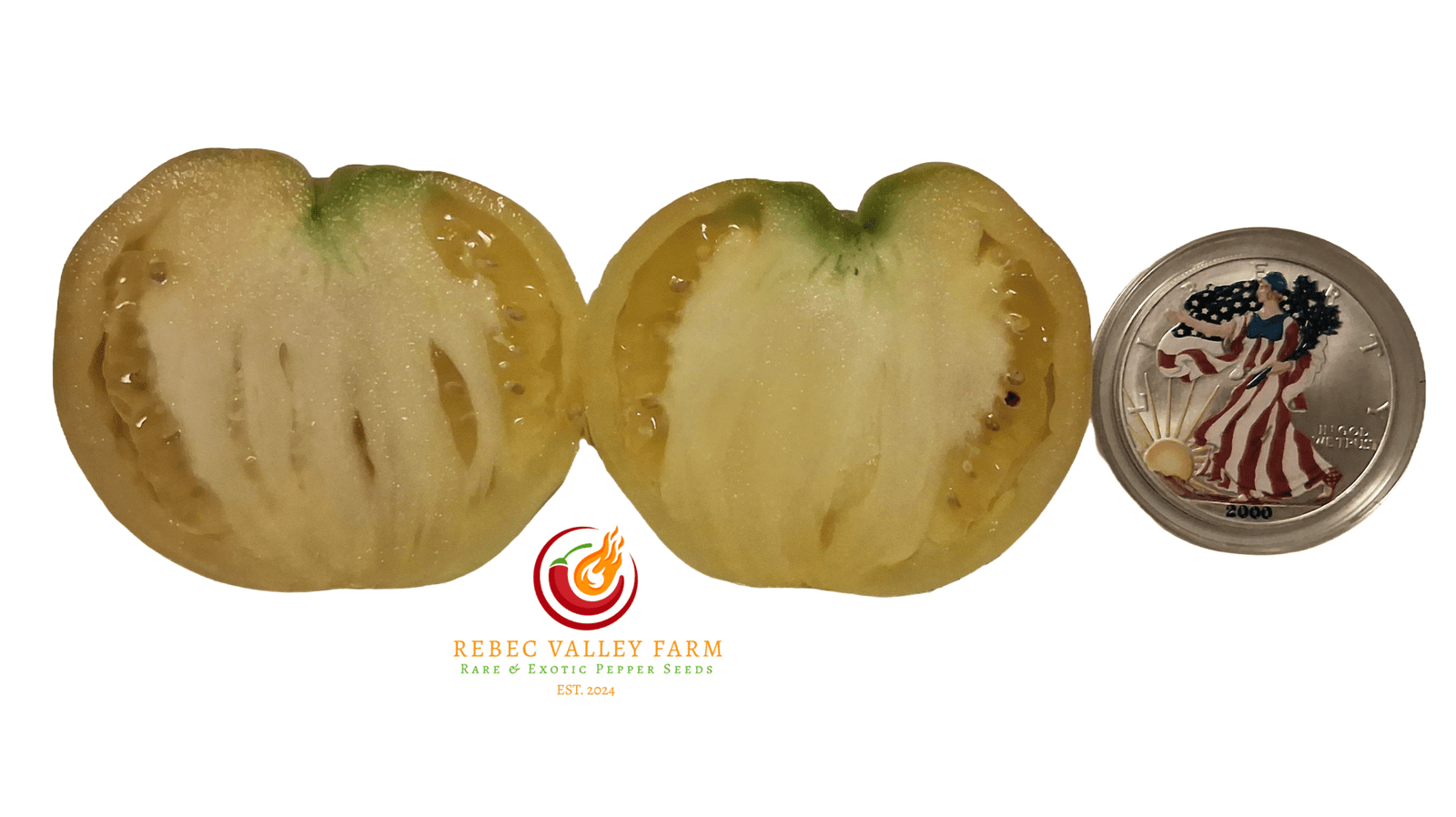 Reinhardt Kraft's White Heart Tomato - Image 2