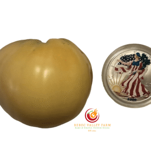 Reinhardt Kraft's White Heart Tomato