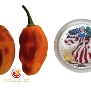 School Bus Karen Pepper