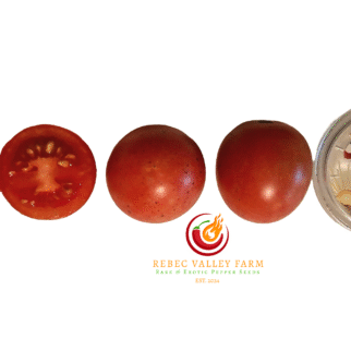 Shimofuri Variegated Tomato