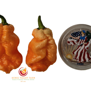 Trinidad Moruga Scorpion Peach Pepper