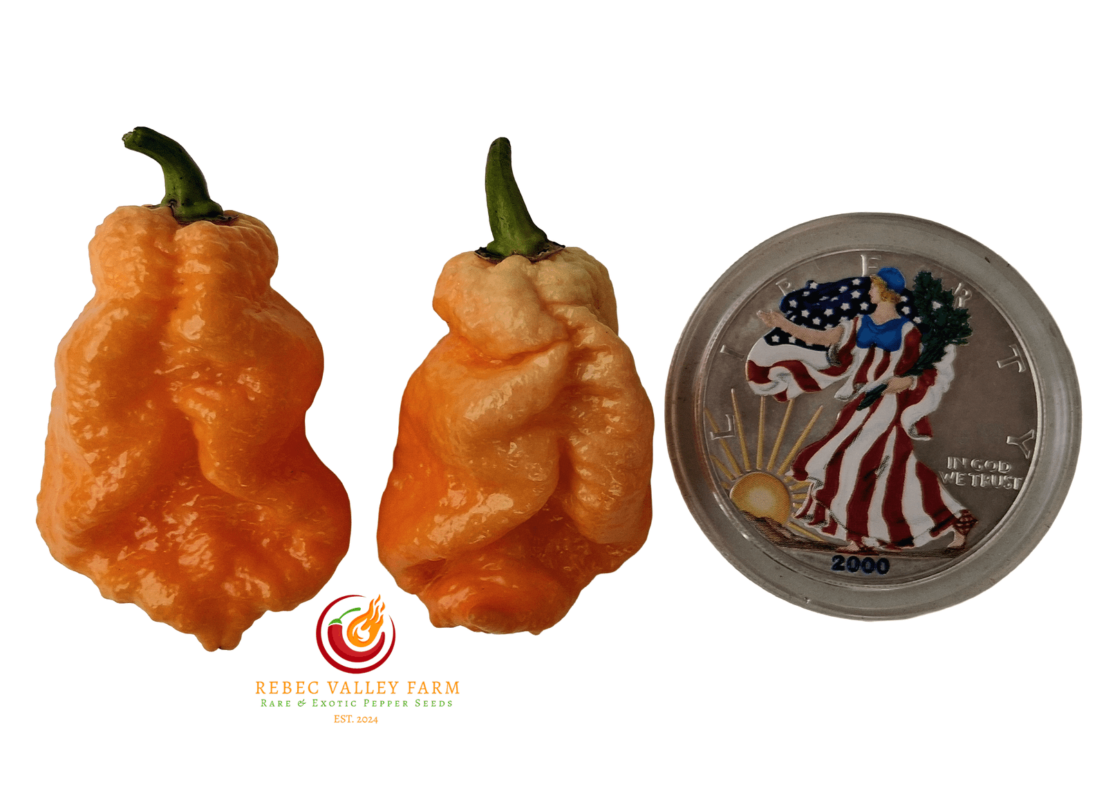 Trinidad Moruga Scorpion Peach Pepper