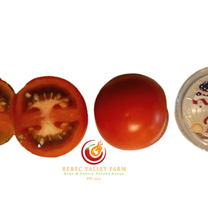 Variegated (Splash of Cream) Tomato