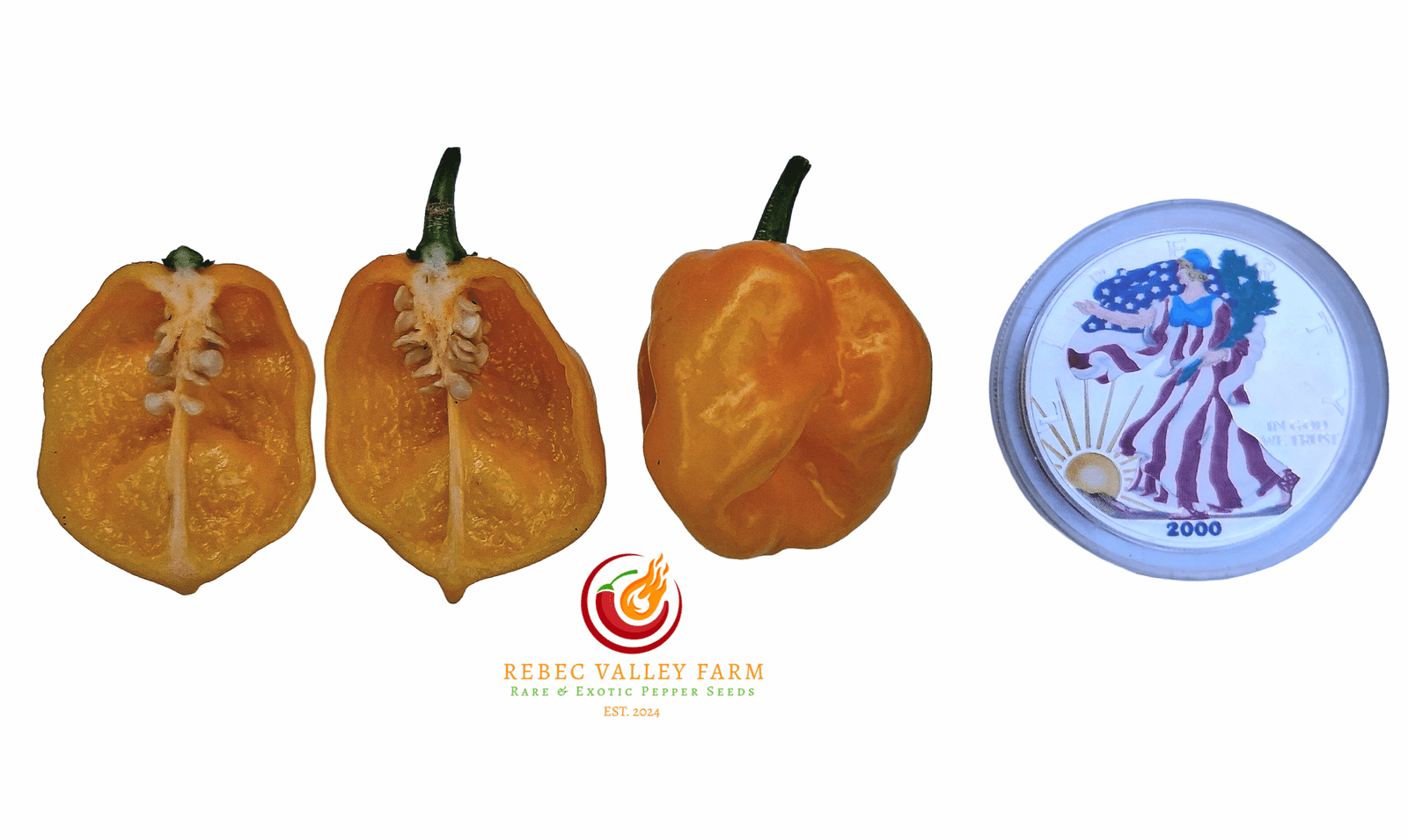 Yellow Caribbean Habanero Pepper