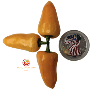 Yellow Fresno Pepper