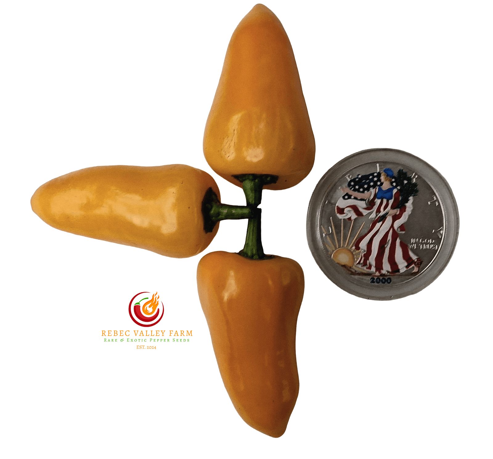 Yellow Fresno Pepper