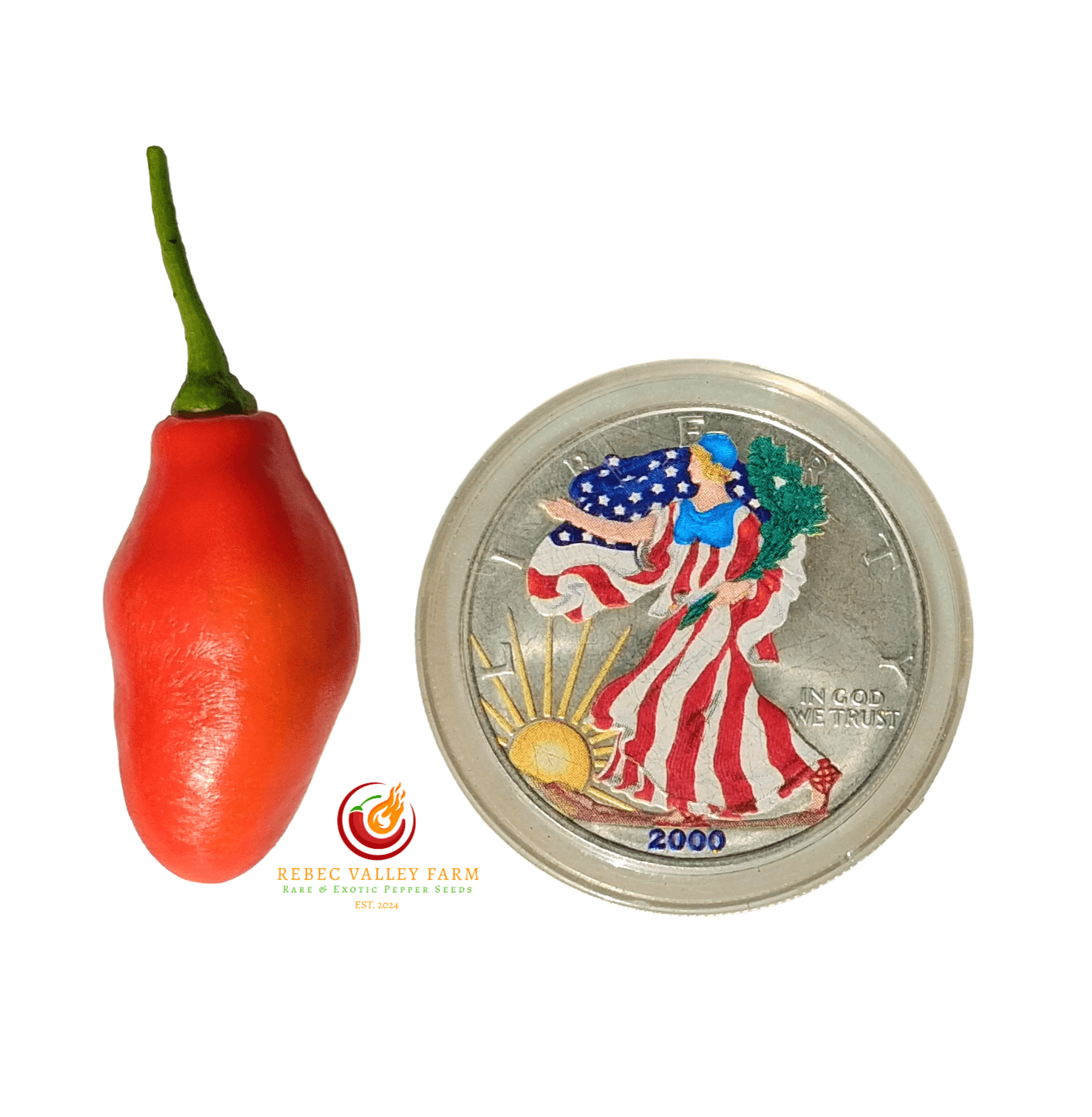 Aji Largo Rocoto Pepper