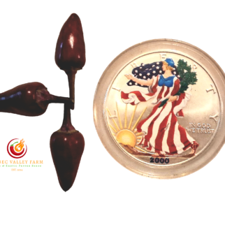 Dream Catcher Pepper