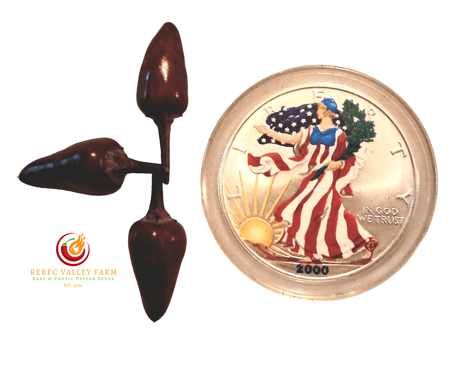 Dream Catcher Pepper